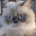 Edward Zhong - Facebook