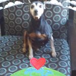 Edwin Algarin - @yyyyyyyyyyyyn788 - Instagram