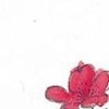 Edwina - @dadac21 - TikTok