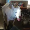 Edwin Baker - @edwin.baker30 - TikTok