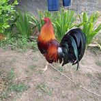 Edwin Bañuelos - Facebook