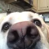 Edwin - @not.edwinbarnes - TikTok