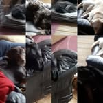 Edwin Bartholomew - @edwin.bartholomew.71 - Instagram