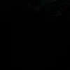 Edwin Bautista - @edwin.bautista4422 - TikTok