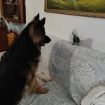 Edwin Turgano Belmonte - @edwinbelmonte20 - Instagram