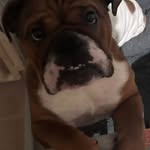 Edwin Benton - @teddybenton70 - Instagram