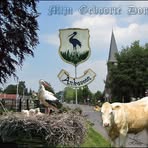 Edwin Berends - Facebook
