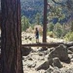 Edwin Bergeron - @geeky.sloth - Instagram