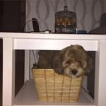 Edwin van Berkel - @edwin.van.berkel - Instagram