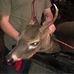 Aidan Bertrand - Facebook