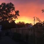 Edwin The Mother Fucking Best - @el_edwin317 - Instagram