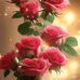 Edwin Bingham - Facebook