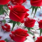 Edwin Bingham - @edwin.bingham.1 - Instagram