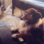 Edwin Bisby - Facebook