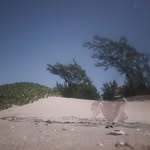 Edwin Black - @ed_win_black - Instagram