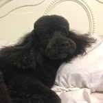 Edwin - @edwin_black_ - Instagram