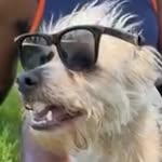 Eddie - @edwin.bliss1 - Instagram