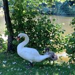 Barbara - @_edwin_blom - Instagram