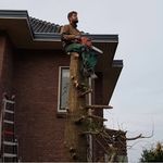 Edwin Blom - @edwin_blom_de_barn - Instagram
