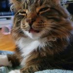 Edwin Blom - @edwin_.blom - Instagram
