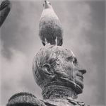 Edwin van der Blom - @edwinvdblom - Instagram