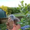 Eddie Blount - @eddie.blount18 - TikTok