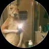 Edwin Bocio Pérez - @edwin.bocio.prez - TikTok