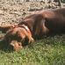 Edwin Bolton - Facebook