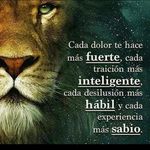Edwin Brand - @ebamkv - Instagram