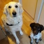 Edwin van den Brink - @edwinbrink1 - Instagram