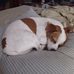 Ed Britt - Facebook