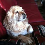 Jerry Edwin Byrd - @jerrybyrd992 - Instagram