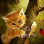 edwin caal - @edwincaal9695 - Instagram