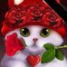 Edwin Cabeza - Facebook