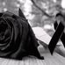 Edwin Callejas - Facebook