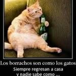 Edwin Callejas Tito - @edwincallejastito - Instagram