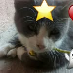 Edwin rosendo vazquez callejas - @edwinrosendovazquez - Instagram