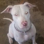 Edwin Cañas - @edwincanas142 - Instagram