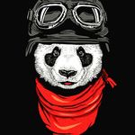 Edwin Canas - @xpertkiller5548 - Instagram