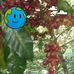 Edwin Cañas - Facebook