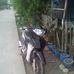 Edwin Candelario - Facebook