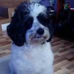 Edwin Rivera Cantor - @edwinriveracantor - Instagram