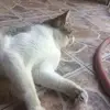 edwincantu882 - @edwincantu882 - TikTok