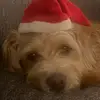 Edwin cardona - @edwin.cardona784 - TikTok