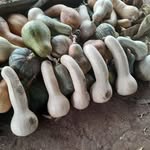 Edwin Carias - @edwin.carias.3348 - Instagram