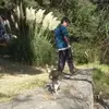 carloedwin14 - @carloedwin14 - TikTok