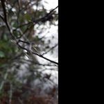 @edwin_carlsonp - Instagram