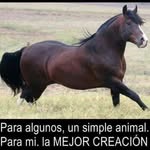 Edwin Carmona - @edwin1232016 - Instagram