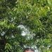 Edwin Arias Carpio - Facebook