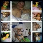 edwin carrasco kuhar - @edwincarrascoku - Instagram